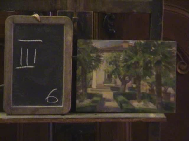 Garden with Palm Trees